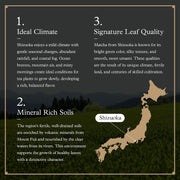 Ocha & Co. Shizuoka Matcha - Ceremonial Grade - Japanese First-Harvest Matcha Green Tea Powder, Traditionally Stone-Milled, 50g.