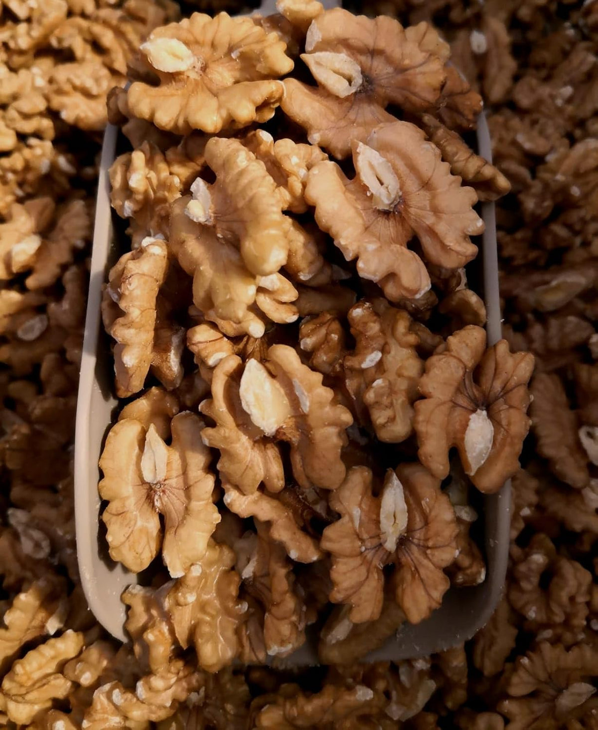 1kg Premium Fresh Organic Mixed Nuts (Walnuts, Brazils, Cashews) (1kg)